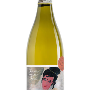 Santa Barbara Verdicchio Tardivo Ma Non Tardo 2016