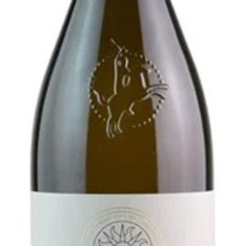 Belisario Verdicchio Merida 2018