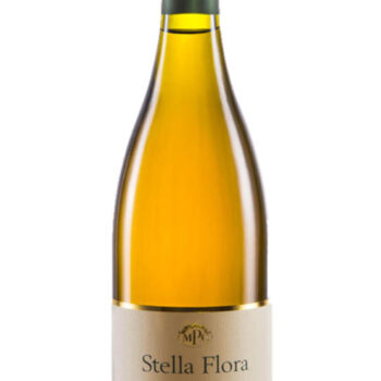 Maria Pia Castelli Stella Flora 2018