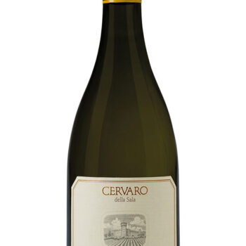 Cervaro della sala Antinori 2020