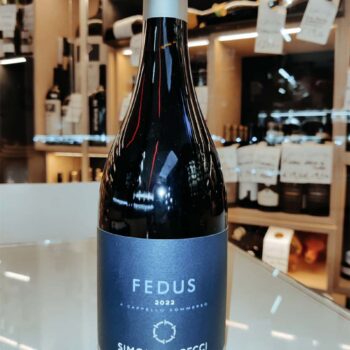 Simone Capecci Fedus 2022