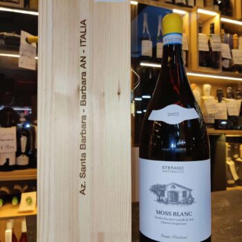 Stefano Antonucci Moss Blanc Magnum 2022